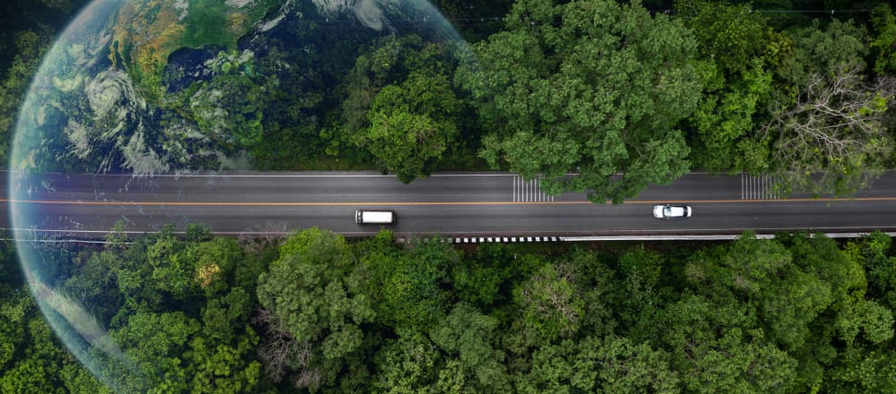 Sustainability in the Global Supply Chain