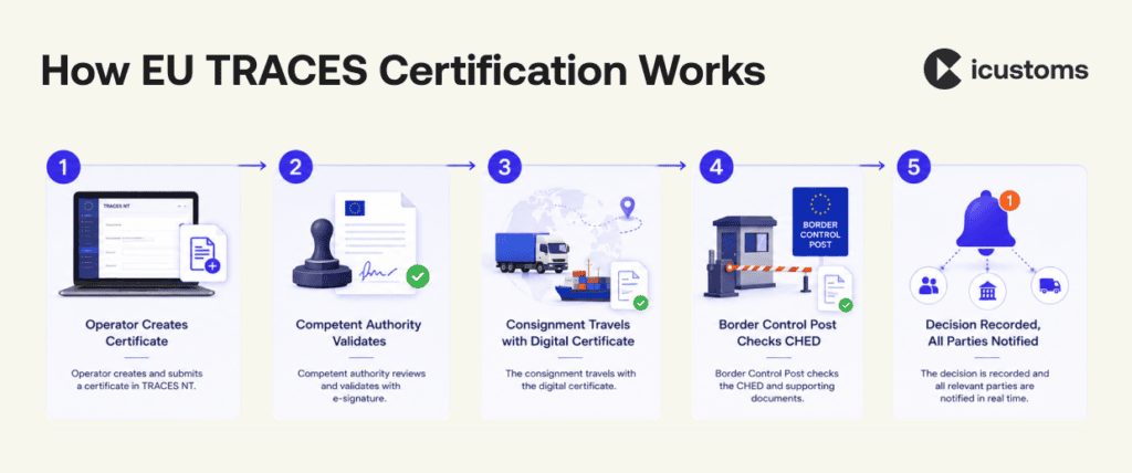 EU TRACES certification process showing certificate creation validation border control CHED check and final decision.