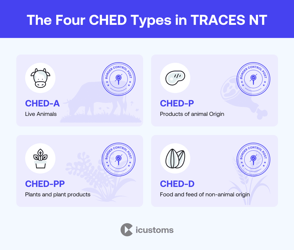 Four CHED types in TRACES NT