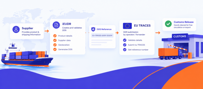EU Customs Workflow Infographic